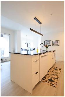 3 1/2 et 4 1/2  Immeuble de prestige Grande allée - Photo 22