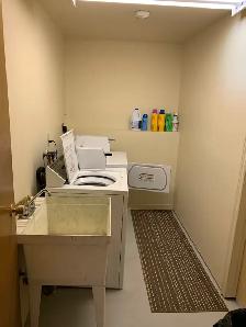 209 Prince #2 - Charming 1BR West, Common Laundry, Water Views - Photo 8