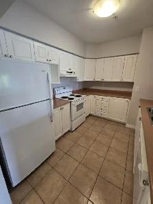 Modern 2BR   Den w/ In-Suite Laundry - Heat/Water/PK Inc - Photo 4