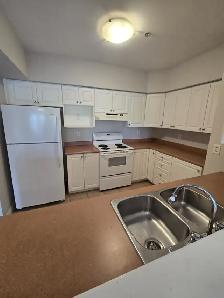 Modern 2BR   Den w/ In-Suite Laundry - Heat/Water/PK Inc - Photo 10