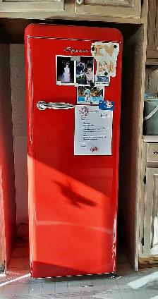 EPIC Refrigerator – Model #ERAR88RED Red - like NEW