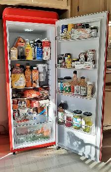 EPIC Refrigerator – Model #ERAR88RED Red - like NEW - Photo 4
