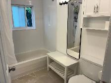3 BR, 2 BATH HOME NEAR LAKE BANOOK HEAT & HOT WATER INCLUDED - Photo 6