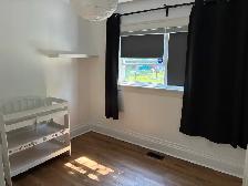 3 BR, 2 BATH HOME NEAR LAKE BANOOK HEAT & HOT WATER INCLUDED - Photo 11