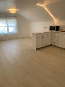 CHARMING, SUNNY 1 BR 1 BATH UPPER FLAT AVAILABLE NOW! - Photo 6