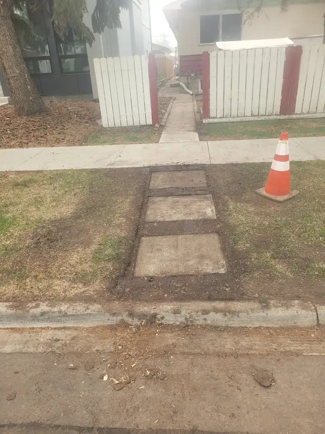 Offering leaves removal n some walkways