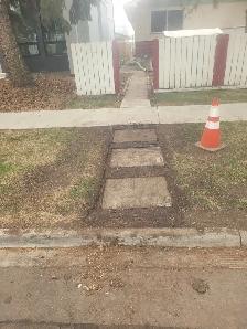 Offering leaves removal n some walkways