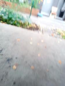 Offering leaves removal n some walkways - Photo 3