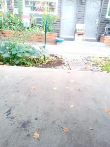 Offering leaves removal n some walkways - Photo 4