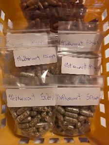 motherwort capsules