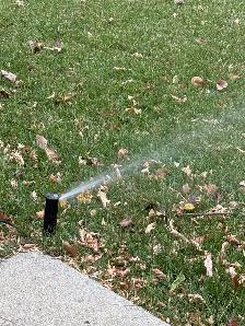 Sprinkler Blowouts