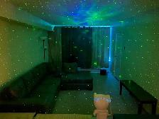Private Room for rent in Clean High rise building - Photo 6