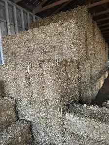 Straw/ Hay