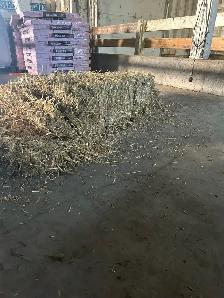 Straw/ Hay - Photo 2