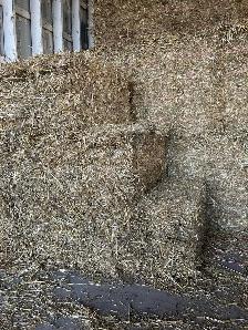 Straw/ Hay - Photo 3