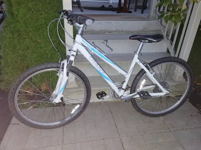 Giant Boulder Mountain Bike