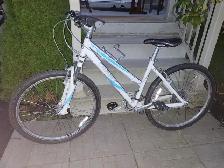 Giant Boulder Mountain Bike