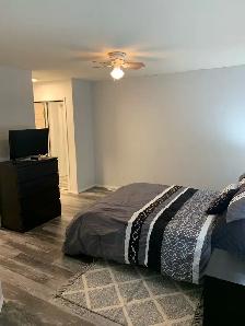 Fully Furnished 2 bedroom condo - Photo 3