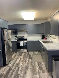 Fully Furnished 2 bedroom condo - Photo 6