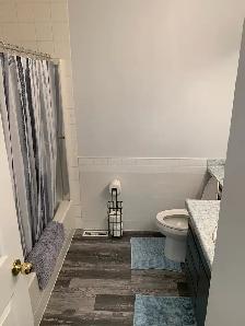 Fully Furnished 2 bedroom condo - Photo 7