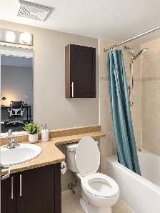 Fully Furnished Rideau 1B | Nov 1 | Parking - Photo 4