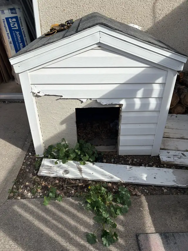 DOG HOUSE