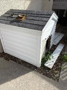DOG HOUSE - Photo 2