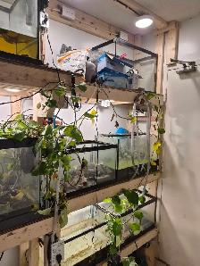 aquarium  tanks - Photo 2