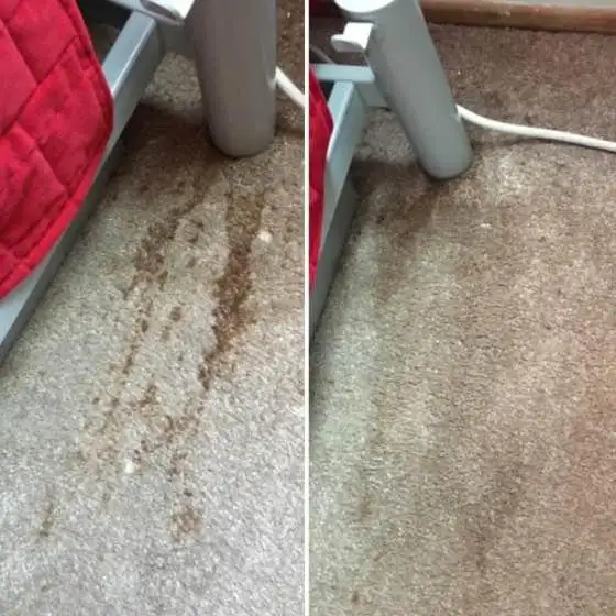 Complete Sofa & Carpet Cleaner GTA_Surrounding Regions