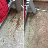 Complete Sofa & Carpet Cleaner GTA_Surrounding Regions