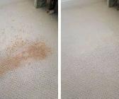 Complete Sofa & Carpet Cleaner - Photo 3
