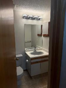 Beautiful 3 bedroom basement unit for rent in Taradale NE - Photo 6