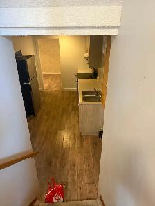 Beautiful 3 bedroom basement unit for rent in Taradale NE - Photo 8