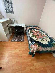 Bright furnished private BR in a 2 BR bsmt suite, Joyce Station - Photo 7