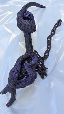 Chat sculpté dans une branche pour l'Halloween, Le chat - Photo 9