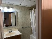 Furnished One-Bedroom Walkout Basement Apartment – Pickering - Photo 10
