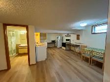 Large basement suit in south triple car garage house for rent - Photo 2