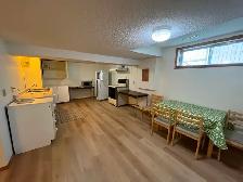 Large basement suit in south triple car garage house for rent - Photo 3