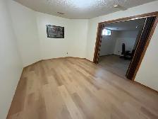 Large basement suit in south triple car garage house for rent - Photo 4
