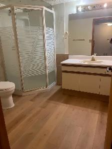 Large basement suit in south triple car garage house for rent - Photo 5