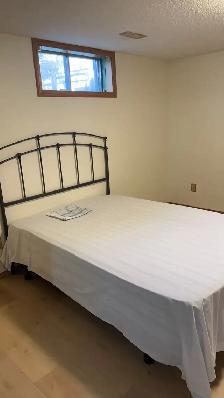 Large basement suit in south triple car garage house for rent - Photo 6