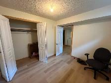 Large basement suit in south triple car garage house for rent - Photo 7