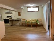 Large basement suit in south triple car garage house for rent - Photo 8