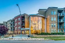 Spacious 1 Bedroom in Lake Bonavista: All Utilities Included