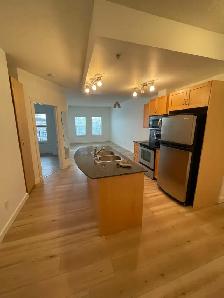 Spacious 1 Bedroom in Lake Bonavista: All Utilities Included - Photo 2