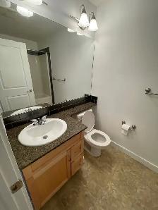 Spacious 1 Bedroom in Lake Bonavista: All Utilities Included - Photo 4