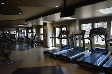Spacious 1 Bedroom in Lake Bonavista: All Utilities Included - Photo 8