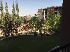 Spacious 1 Bedroom in Lake Bonavista: All Utilities Included - Photo 9