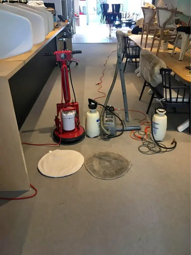 The Couch & Upholstery.Carpet Cleaner