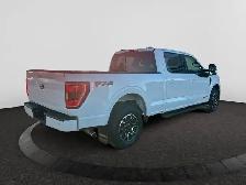 2023 Ford F-150 SuperCrew - Photo 5